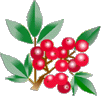 紅白と龍馬とテレビのお正月。２０１０年年賀_c0219595_1435128.gif