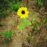 Thumbnail of related posts 102
