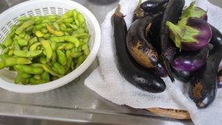 Thumbnail of post image 146