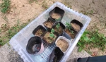 Thumbnail of post image 005