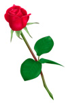 Thumbnail of related posts 163